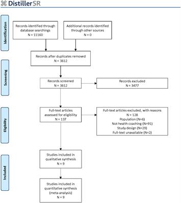 Diabetes health coach in individuals with type 2 diabetes: A systematic review and meta analysis of quadruple aim outcomes